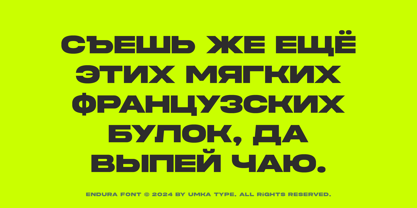 Endura Font Poster 7