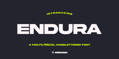 Endura Font Poster 1