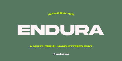 Endura Font Poster 12