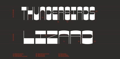 Zoo Font Poster 2