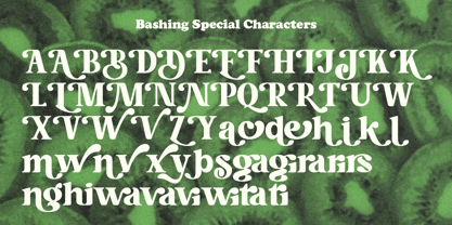 Bashing Font Poster 12