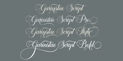 Garinstae Script Font Poster 12