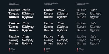 Fautive VF Font Poster 2