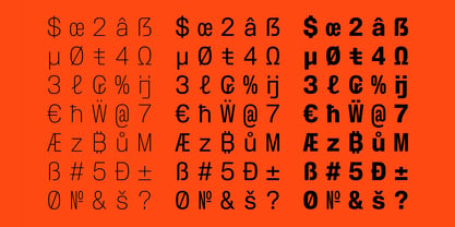 Slussen Mono Font Poster 8