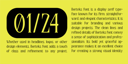 Borteks Font Poster 7