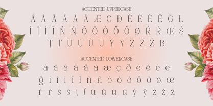 Mounchera Font Poster 10