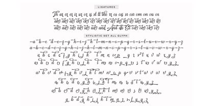 Standbury Script Fuente Póster 12