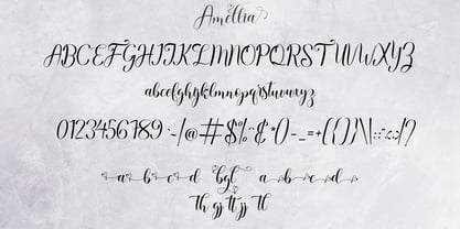 Amellia Script Font Poster 5