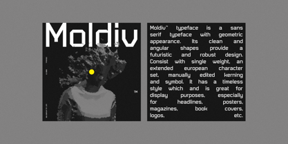 Moldiv Font Poster 10
