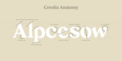 Creolia Font Poster 9