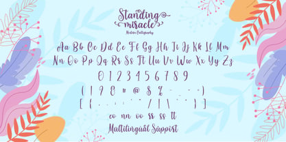 Standing Miracle Font Poster 10