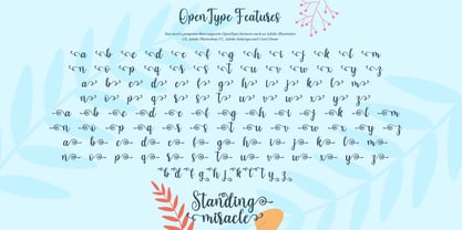 Standing Miracle Font Poster 9
