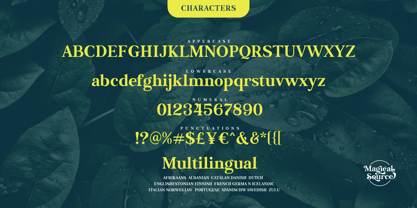 Magical Source Font Poster 14