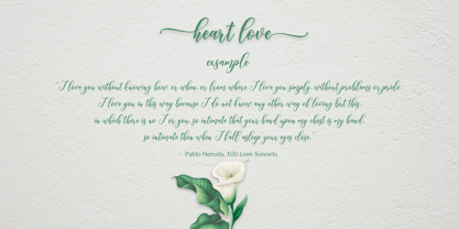 Heart love Font Poster 6