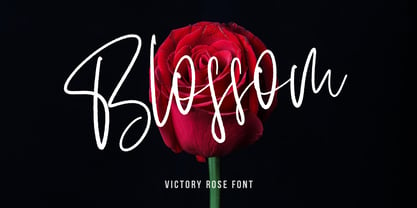 Victory Rose Font Poster 2