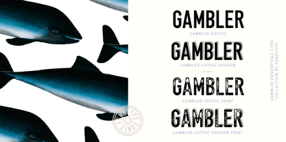 Gambler Font Poster 14