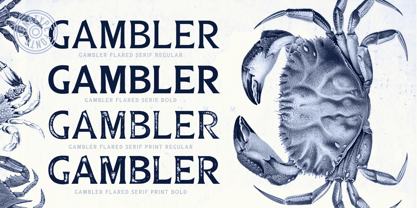 Gambler Font Poster 13