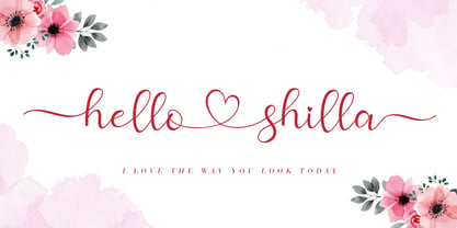 Hello Shilla Font Poster 1