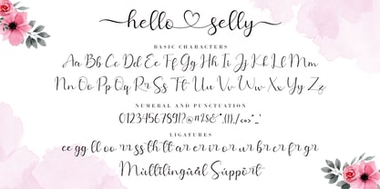 Hello Shilla Font Poster 8