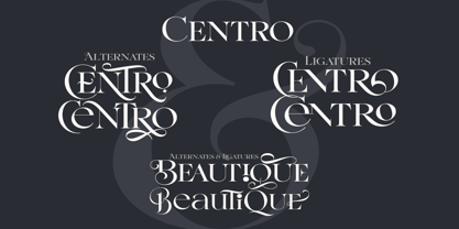 Meritta Serif Font Poster 2