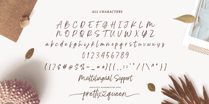 Pretty Queen Font Poster 10