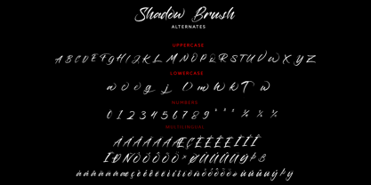 Shadow Brush Font Poster 10