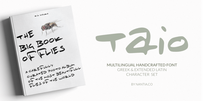 Taio Font Poster 7
