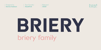 Briery Police Poster 1
