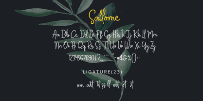 My Sallome Font Poster 6