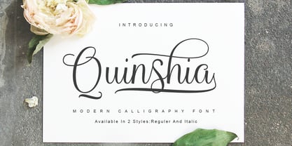 Quinshia Script Font Poster 1