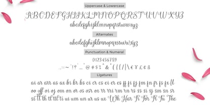 Quinshia Script Font Poster 10