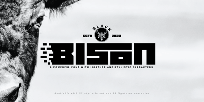 Black Bison Font Poster 1