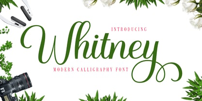 Whitney Font Poster 1