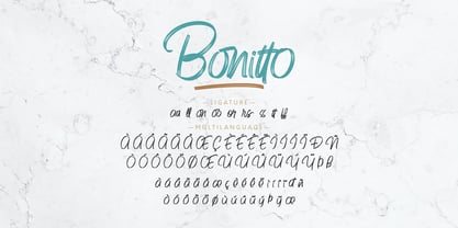 Bonitto Fuente Póster 11