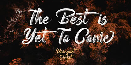 Vinegart Font Poster 3