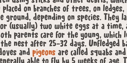 Pigeon Post Font Poster 5
