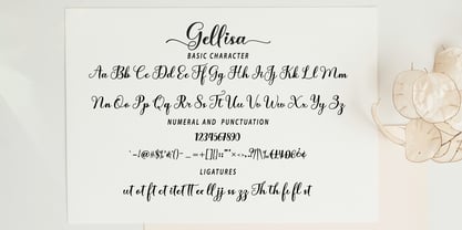 Gellisa Script Font Poster 5