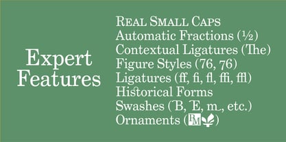 Grad Font Poster 4