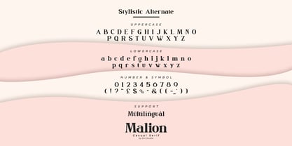 Malion Font Poster 10