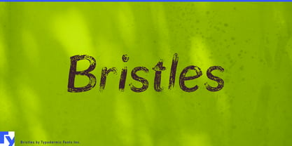 Bristles Font Poster 1