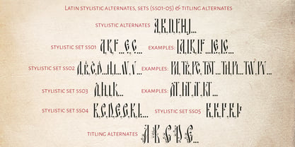 Patmos Serif Font Poster 5