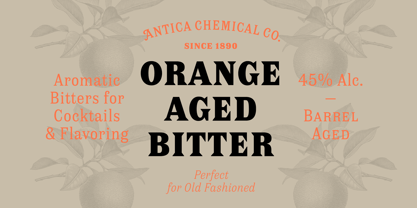 Antica Font Poster 6