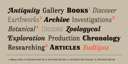 Antica Font Poster 3