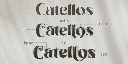 Catellos Font Poster 9