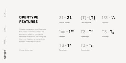 TT Lakes Font Poster 11