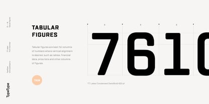 TT Lakes Font Poster 12