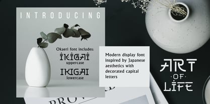 Okaeri Font Poster 2