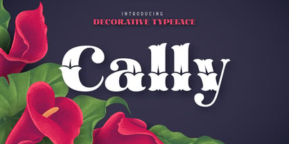 Cally Font Poster 1