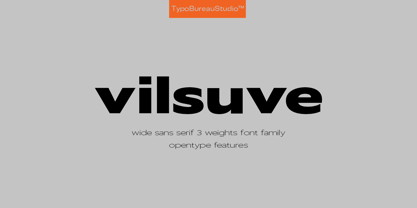Vilsuve Font Poster 1