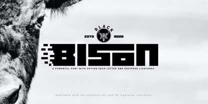 Black Bison Font Poster 2